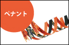 �y�i���g
