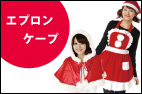 �T���^�G�v�����E�P�[�v