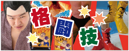 格闘技・プロレス・相撲衣装