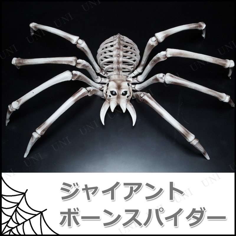 82×48cmジャイアントボーンスパイダー 【 雑貨 クモ 蜘蛛 装飾品 くも インテリア デコレーション ハロウィン 飾り 】