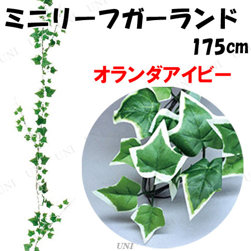 商品管理番号:PW-39905【キーワード】#結婚式演出2,#母の日のお花,人工観葉植物,生活雑貨,インテリアグッズ,インテリア用品,装飾品,デコレーション,アイビー,フェイクグリーン,インテリアグリ