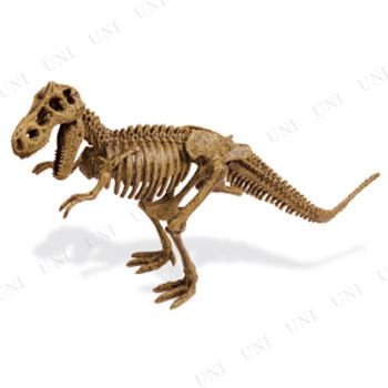 恐竜発掘セット ティラノサウルス 【 おもちゃ 人形 玩具 フィギュア オモチャ 】