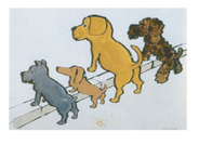 SAV-22 CHIENS CANIVEAU �ݥ�����