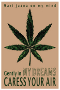MY DREAMS �ݥ�����