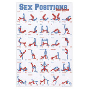 SEX POSITIONS �ݥ�����