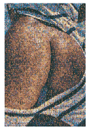 Hip Mosaic �ݥ�����