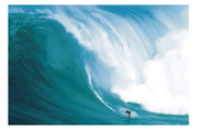 RIDING GIANTS �ݥ�����