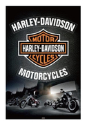 Harley Davidson(Leather) �ݥ�����