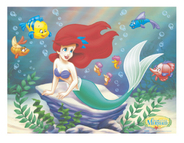LITTLE MERMAID(MP0652) �ߥ˥ݥ�����