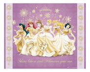 PRINCESS(MP0743) �ߥ˥ݥ�����