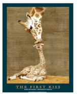 THE FIRST KISS �ߥ˥ݥ�����
