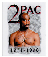 TU PAC �ߥ˥ݥ�����