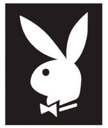 PLAYBOY �ߥ˥ݥ�����