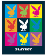 PLAYBOY �ߥ˥ݥ�����