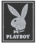 PLAYBOY �ߥ˥ݥ�����