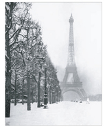 PARIS Winter �ߥ˥ݥ�����