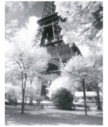 PARIS Eiffel Tower �ߥ˥ݥ�����