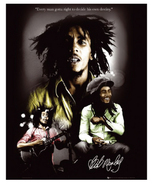 Bob Marley �ߥ˥ݥ�����