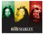 Bob Marley �ߥ˥ݥ�����