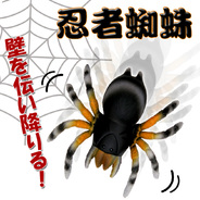 忍者蜘蛛 (黄グモ)