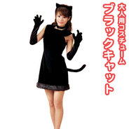 ブラックキャット