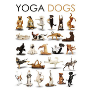 YOGA dogs �ߥ˥ݥ�����
