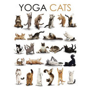 YOGA cats �ߥ˥ݥ�����