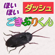 プルバックダッシュゴキブリ