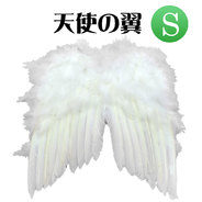 天使の翼 (S)