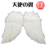天使の翼 (LL)
