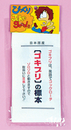 ゴキブリの標本
