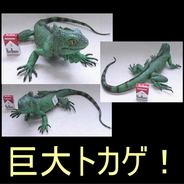 メガトカゲ