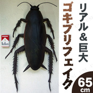 メガゴキブリ