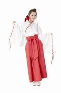 トキメキ神社 巫女ちゃんグラフィティ