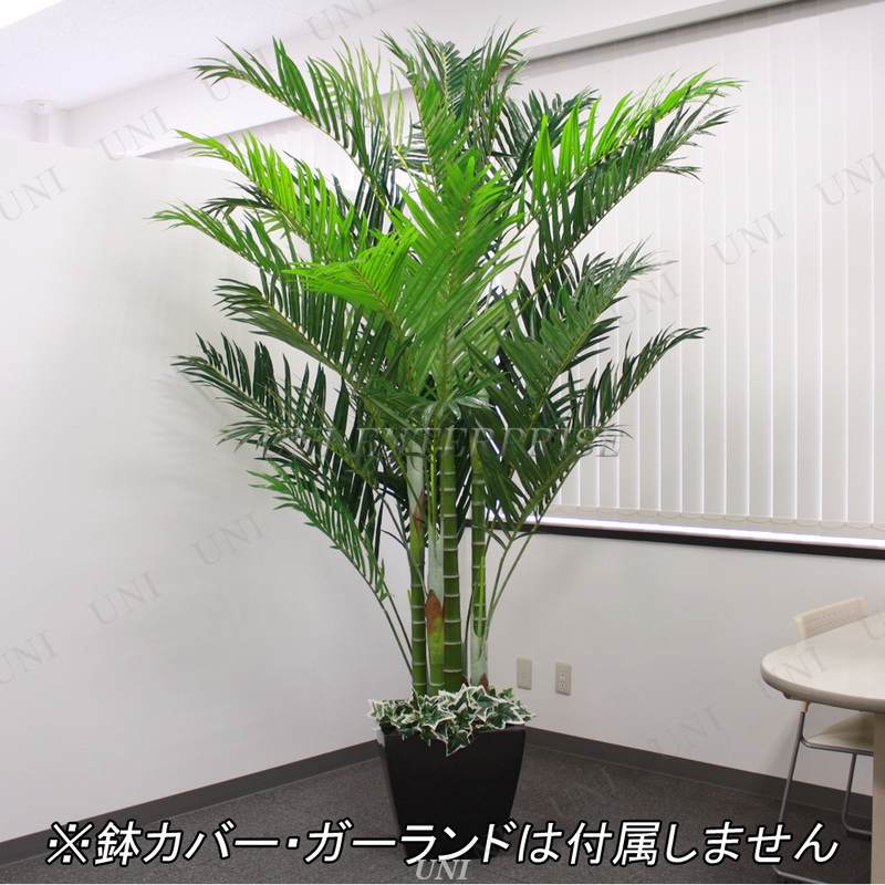 すべての美しい花の画像 ロイヤリティフリー人工 観葉 植物 インテリア すべての美しい花の画像 ロイヤリティフリー人工 観葉 植物 インテリア