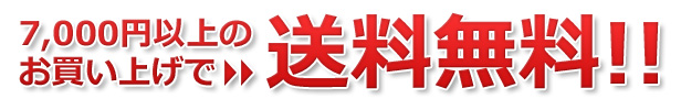 送料無料