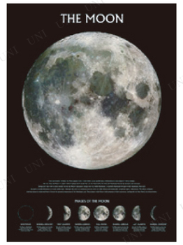 【取寄品】 Moon ポスター