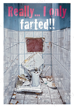 ڼʡ Only Farted ݥ