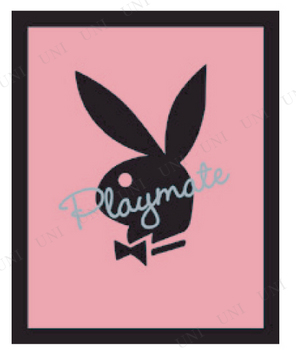 ڼʡ PLAYBOY ߥ˥ݥ