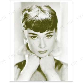 ڼʡ AUDREY HEPBURN ߥ˥ݥ