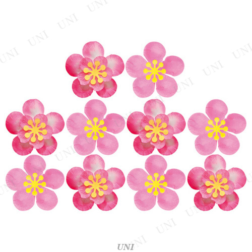 10祻å