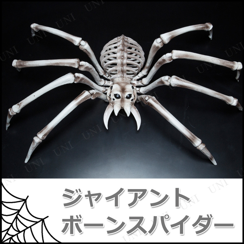 【取寄品】 82×48cmジャイアントボーンスパイダー