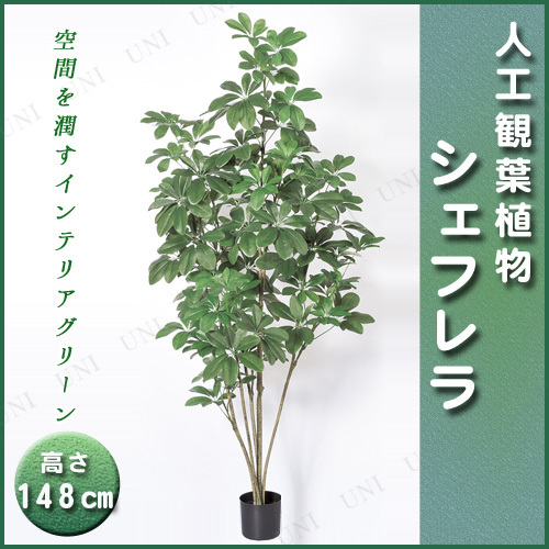 【取寄品】 人工観葉植物 シェフレラポット 148cm