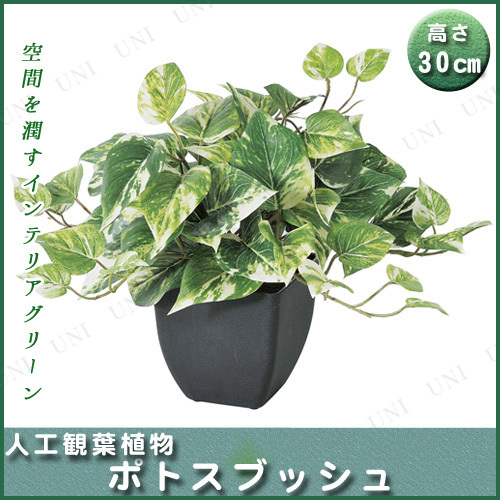 【取寄品】 人工観葉植物 ポトスブッシュ(ポット付) 30cm
