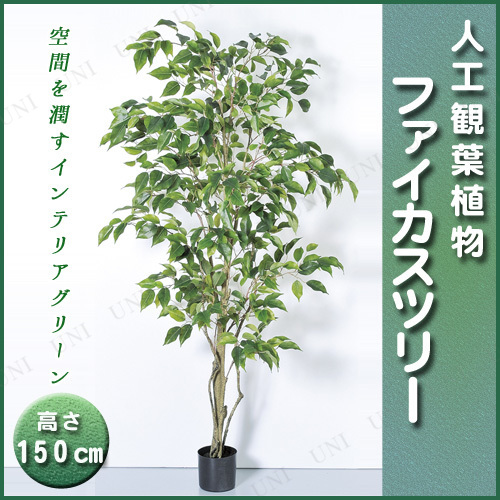 【取寄品】 人工観葉植物 ファイカスツリーポット 150cm