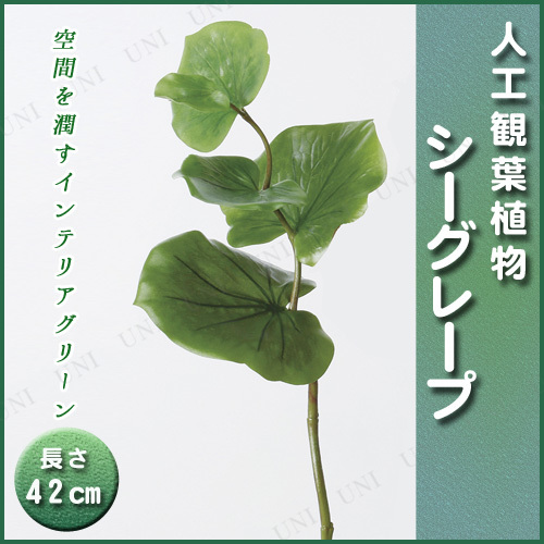 【取寄品】 人工観葉植物 シーグレープ 42cm