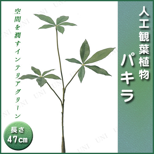 【取寄品】 [4点セット] 人工観葉植物 パキラ(S) 47cm