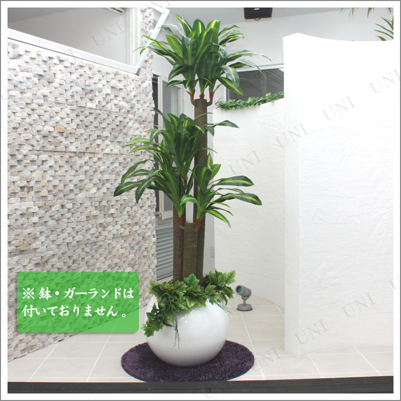 150cm光触媒 ドラセナフレグランス (造花・人工観葉植物)