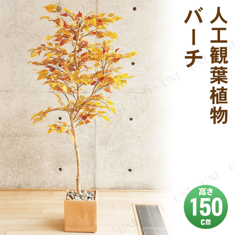 ڼʡ ե꡼  С 150cm