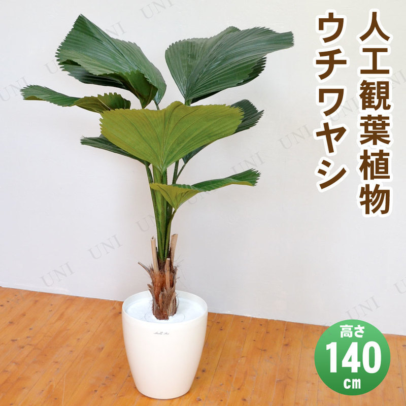 ڼʡ ե꡼  䥷 140cm